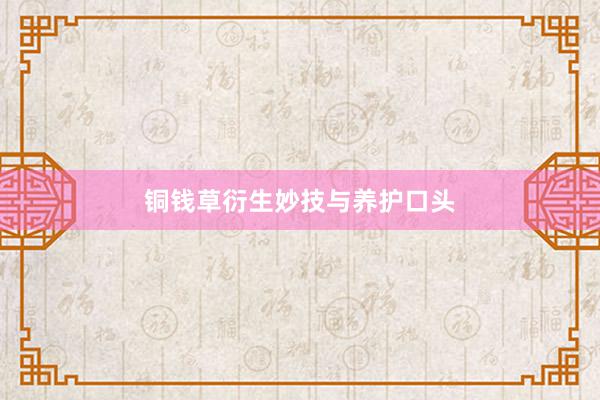 铜钱草衍生妙技与养护口头
